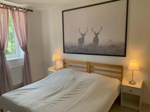 a bedroom with a bed with two deer paintings on the wall at Chalupa U Kačírků in Horní Planá
