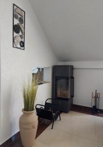 多吉斯多因的住宿－"House Münster" Bed&Breakfast - Ulcinj，客厅设有壁炉和椅子