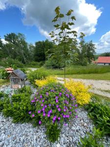 um jardim com flores e uma casa de pássaros em Chalupa U Kačírků em Horní Planá