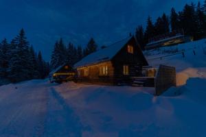 Almhütte Hebalm mit Whirpool að vetri til