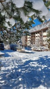 une cour enneigée avec un bâtiment en arrière-plan dans l'établissement Mountain Apartment Rododendro, à Tarvisio