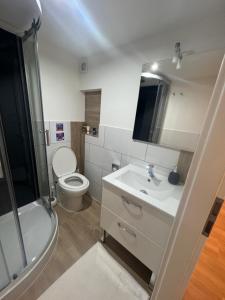 La salle de bains est pourvue de toilettes, d'un lavabo et d'une douche. dans l'établissement Maison les étoiles, à Hésingue