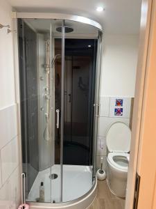 La salle de bains est pourvue d'une douche et de toilettes. dans l'établissement Maison les étoiles, à Hésingue