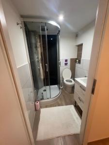La salle de bains est pourvue d'une douche, de toilettes et d'un lavabo. dans l'établissement Maison les étoiles, à Hésingue