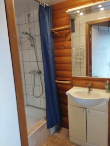 uma casa de banho com um lavatório e um chuveiro com uma cortina de chuveiro em Gîte du Cheval Blanc à Houmont em Sainte-Ode