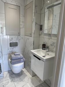 a white bathroom with a toilet and a sink at Beautiful 1-Bed Studio in Bourne end in Bourne End