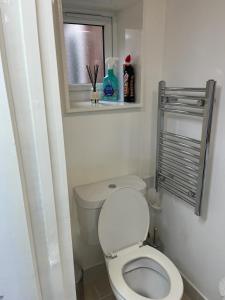 un piccolo bagno con servizi igienici e specchio di Cozy Guest Room in High Barnet (London) with Private Entrance and Small Terrace a Londra