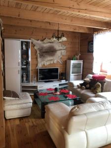 クリニツァ・ズドルイにあるDom pod Złotą Łyżwąのソファ2つとテレビのあるリビングルーム