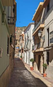 an alley with buildings and potted plants on a street at Casa Plaza Relleu in Relleu