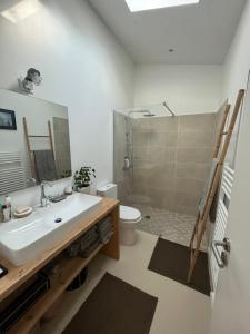 een badkamer met een wastafel, een douche en een toilet bij Villa Athena Cap-Ferret chez l habitant in Lège-Cap-Ferret