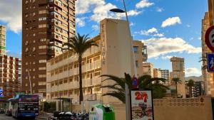 a building in a city with palm trees and buildings at Benidorm 2ºlinea playa in Benidorm