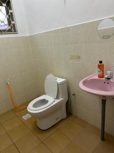 y baño con aseo y lavabo rosa. en H Family Banglo Seremban #fit 20pax max #spacious carpark, en Seremban