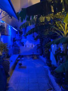 The Blue and White Perle في سيدي بو سعيد: غرفة مليئة بالكثير من النباتات والأضواء الزرقاء