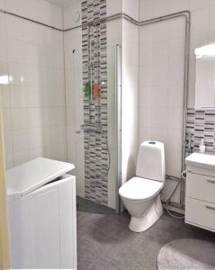 ein weißes Bad mit einem WC und einer Dusche in der Unterkunft Tilava kt yksiö, lasitettu parveke in Jalasjärvi