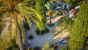een uitzicht over de tuin met palmbomen bij la casita de invitados in Los Baños