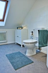 ein Badezimmer mit einem WC und einem blauen Teppich in der Unterkunft Wohnung im Herzen Bochums (1 km zum Hauptbahnhof) in Bochum