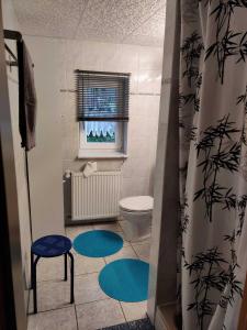 a bathroom with a toilet and a window and blue rugs at Ferienwohnungen Ruwoldt in Brodhagen
