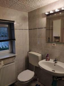 a bathroom with a toilet and a sink at Ferienwohnungen Ruwoldt in Brodhagen