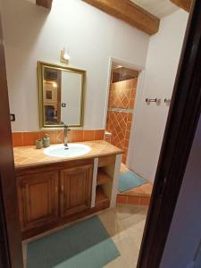 a bathroom with a sink and a mirror and a shower at Gîte avec vue sur l'Indre in Artannes-sur-Indre