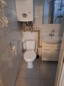 a small bathroom with a toilet and a sink at Mały domek - Zielonka in Zielonka