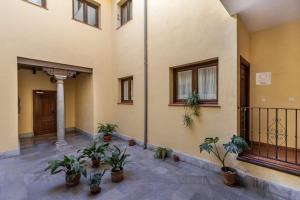 cortile di una casa con piante in vaso di Luxury Suite de Trabuco a Granada