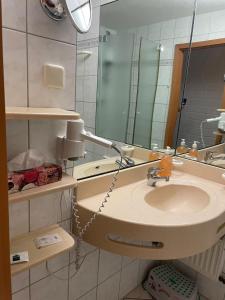 uma casa de banho com um lavatório e um espelho em Pleskini Apartments em Sankt Englmar