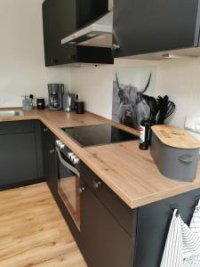 a kitchen with a counter with a cow head on the wall at Ferienwohnung Seeloft in Emden