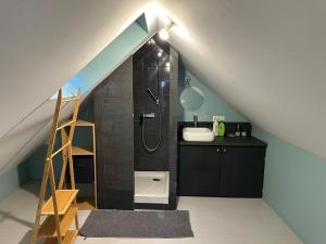 a bathroom with a shower and a sink in a attic at Maison de ville idéalement placée in Tours