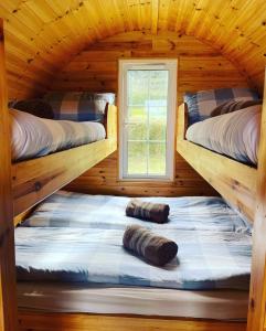 two bunk beds in a wooden cabin with a window at Coach Field Camp in Camp