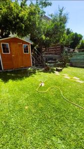 a yard with a house and a hose in the grass at La casa di Judy e Frank in Tarquinia