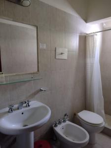 a bathroom with a sink and a toilet and a mirror at Hosteria Olimpo in Villa Gesell