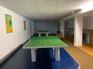een kamer met een tafeltennistafel bij Pleskini Apartments in Sankt Englmar