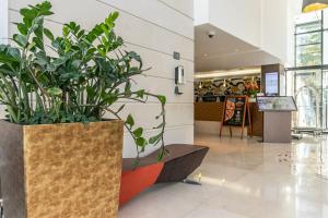 un hall avec deux grandes plantes en pot dans un bâtiment dans l'établissement Residhome Val d'Europe, à Montévrain