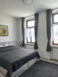 1 dormitorio con 1 cama y 2 ventanas en Zweizimmerwohnung am Markt, en Finkenburg