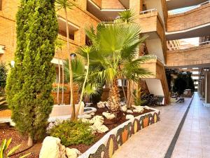 Fotografie z fotogalerie ubytování ACV - Torremar-2ª línea planta 1 norte v destinaci Oropesa del Mar