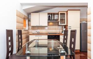 Kuchyň nebo kuchyňský kout v ubytování Two-Bedroom Apartment In Kastel Kambelovac