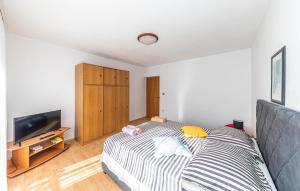 Televízia a/alebo spoločenská miestnosť v ubytovaní Two-Bedroom Apartment In Kastel Kambelovac