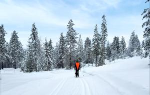 蘭帕蘭德的住宿－Awesome Home In Flesberg With Wifi，一个人在雪中越野滑雪