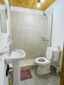 a bathroom with a toilet and a sink and a shower at Mirai Cabañas La Carmen in Veintiocho de Noviembre