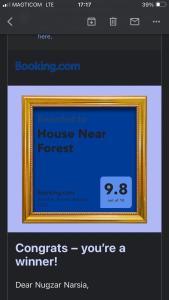una imagen de un marco dorado en un sitio web en House Near Forest, en Bakuriani
