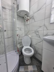 La salle de bains est pourvue de toilettes, d'une douche et d'un lavabo. dans l'établissement Vio's Galati Apartment, à Galaţi