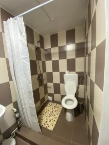 un piccolo bagno con servizi igienici e lavandino di Ardelean Apartment a Oradea