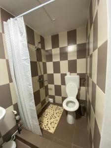 a small bathroom with a toilet and a sink at Ardelean Apartment in Oradea +17 photos