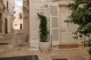 a plant in a pot in front of a door at DeaDomus 55 in Cisternino