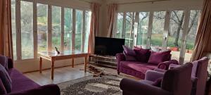 ein Wohnzimmer mit lilafarbenen Möbeln und großen Fenstern in der Unterkunft Hostel Dar Alslam in Nizwa