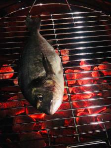 ein Fisch auf einem Grill in der Unterkunft Il Ficupala, Pozzallo Sea House in Pozzallo
