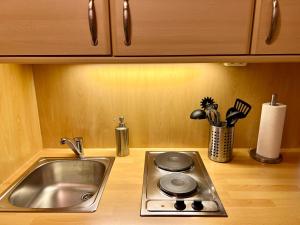 a kitchen counter with a sink next to a sink at Bavarian Holiday Hideaway in Pfronten +64 photos
