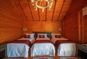 ein Schlafzimmer mit 3 Betten in einem Zimmer mit einem Kronleuchter in der Unterkunft Bourbon Serra Gaúcha Divisa Resort in São Francisco de Paula
