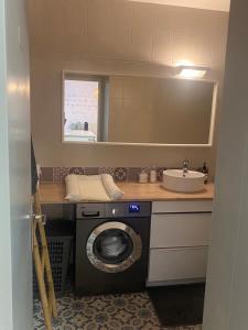 a bathroom with a washing machine and a sink at Centre ville de Colmar avec Parking Downtown Colmar with Parking in Colmar
