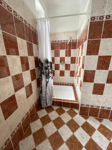 a bathroom with a shower with a shower curtain at Apartman T&T in Cheb